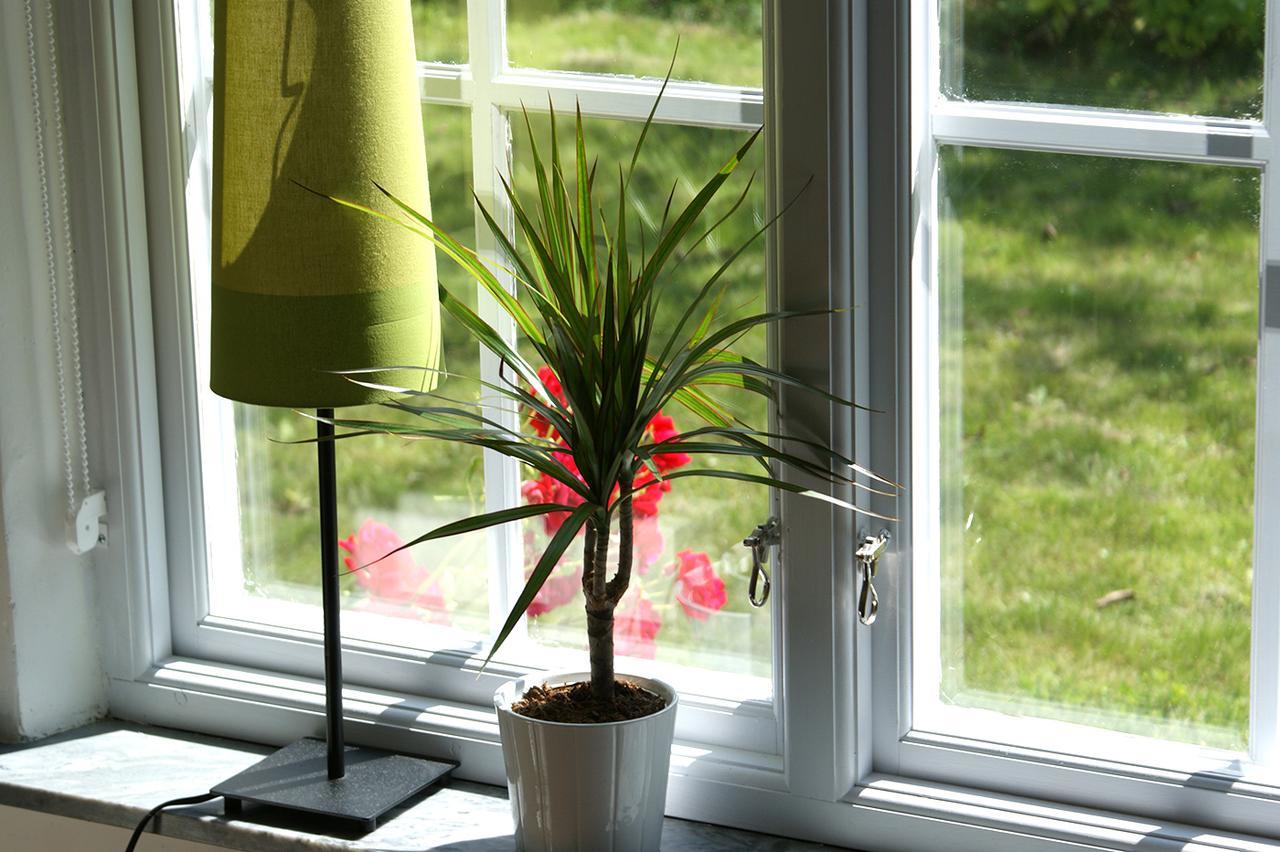 Ejagarden B&B En Suite Kaseberga ภายนอก รูปภาพ